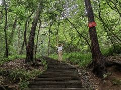 -杭州黄龙洞