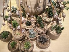 -奥里奥罗比萨意面(文化东路店)