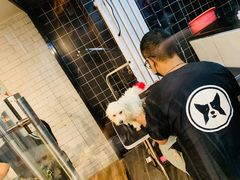 -Goku PET SHOP宠物视觉生活馆(双井店)