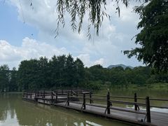 -浙江农林大学(东湖校区)