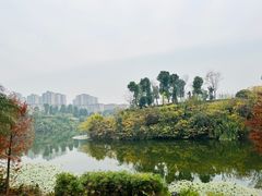 -东岳体育公园