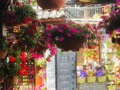 -民食香·腊排骨野生菌美食(木府店)