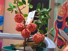 -长安大牌档之上元灯会(南大街店)