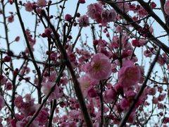 -敬亭山风景名胜区