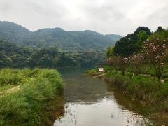 -广州市石门国家森林公园