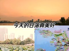 -沙湖公园
