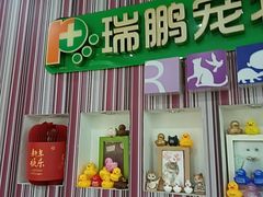 -瑞鹏·疫苗·绝育·宠物医院(金沙洲店)