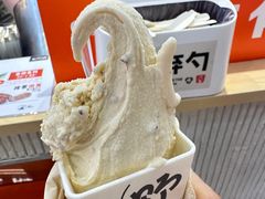 -野人先生现做冰淇淋(西安赛格店)