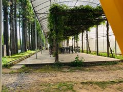 -前小桔亲子创意农场·草莓采摘·露营烧烤