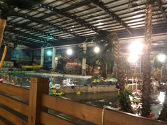 -南宫温泉水世界