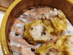 -东方早茶 海鲜•青岛菜(国信体育中心店)