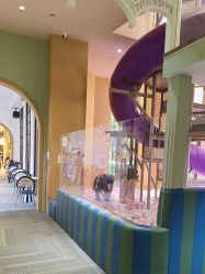 -奈尔宝·儿童乐园·亲子餐厅(星河湾店)