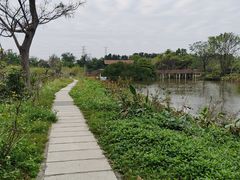 -海上田园