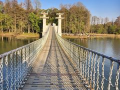 -东湖落雁景区
