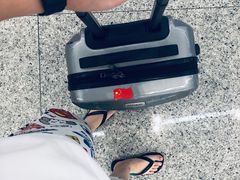 -斗湖机场