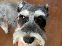 -多卡布奇宠物生活馆(上林世家店)