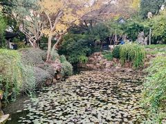 -上海醉白池公园