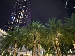 -深圳福田香格里拉大酒店