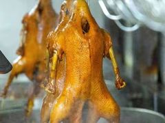 -春梅里卤鹅馆·47年老字号(中山路店)