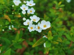 -苏州河梦清园环保主题公园