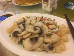 煎焗鲶鱼（或鲢鱼）-围龙屋客家食府(福田店)