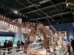 -国家自然博物馆