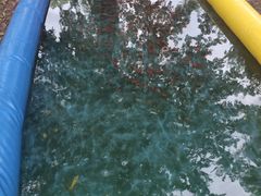 -杭州双溪漂流景区