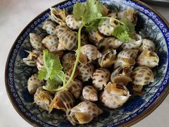 瓦萨比花螺-阿尔法海鲜排档(爱琴海店)