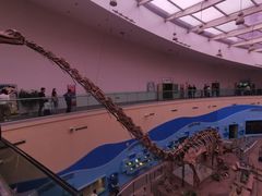 -陕西自然博物馆