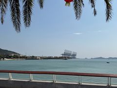 -新金盛·海鲜酒楼(盐田店)