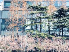 -静安公园(静安寺街道)