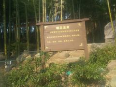 -江南天池高山汤泉城