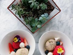 -蝶舍·MAISON PAPILLON