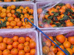 -海吉星国际农产品物流管理有限公司