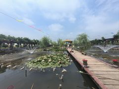 -同銮特种养殖场·龙虾垂钓