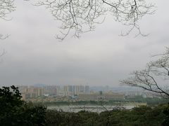 -风云岭森林公园