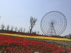 -泰山天颐湖旅游度假区