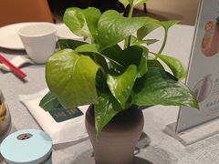 -上海银厨(武宁路店)