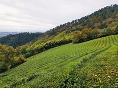 -敬亭山风景名胜区