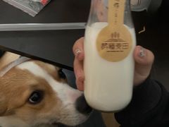 -酵種麦田(山师店)
