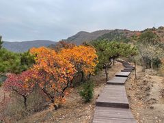 -北京十三陵国家森林公园蟒山景区