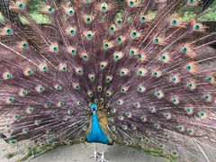 -韶关经律论国际酒店温泉