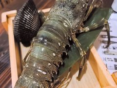 -矶野水产(澳门逸园中心店)