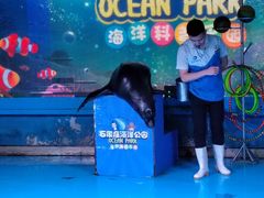 -石家庄海洋公园