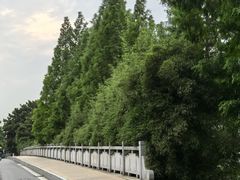 -尚贤河湿地