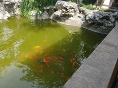 -常熟方塔园