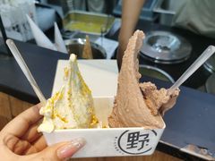 -野人先生现做冰淇淋(北京顺义祥云小镇店)