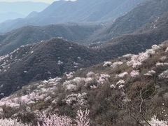 -北京凤凰岭