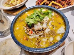 藤椒江团鱼-眉州东坡(上海中心店)