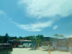 -广东惠东海龟国家级自然保护区